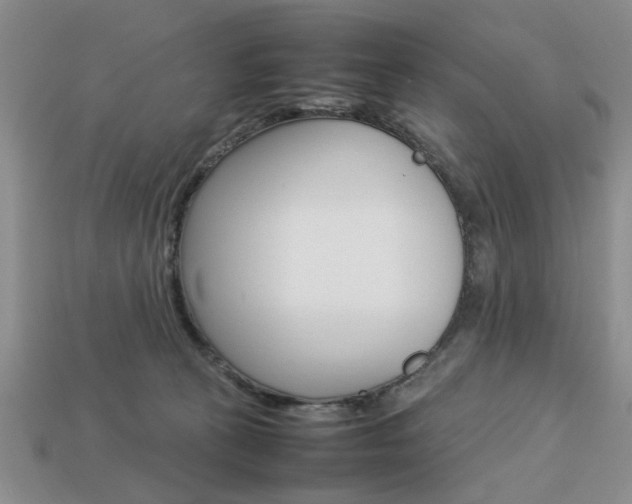 X0000113780273200909231047