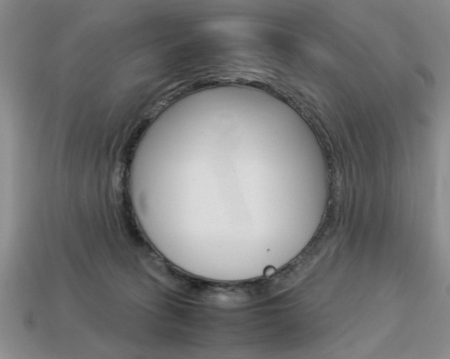 X0000113780275200909231047