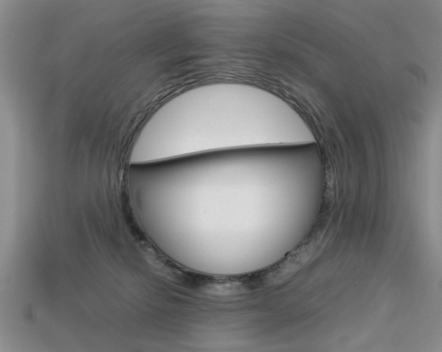 X0000113780278200909231047