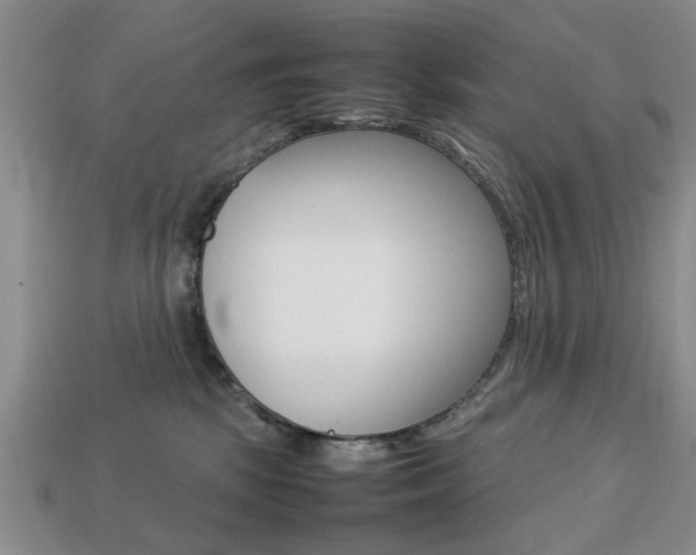 X0000113780281200909231047