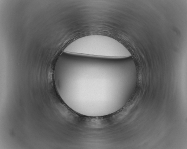 X0000113780282200909231047