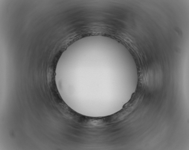 X0000113780283200909231048