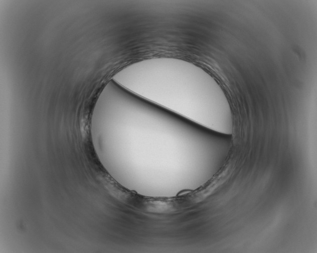 X0000113780285200909231048