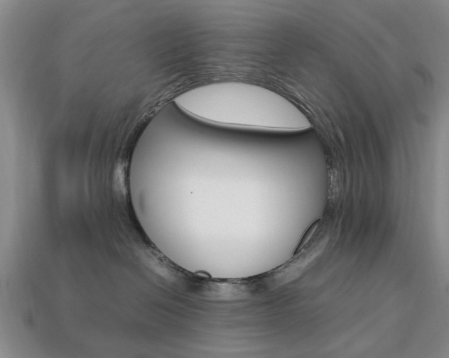 X0000113780286200909231048