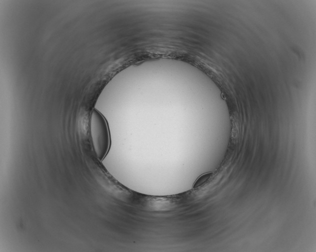 X0000113780287200909231048