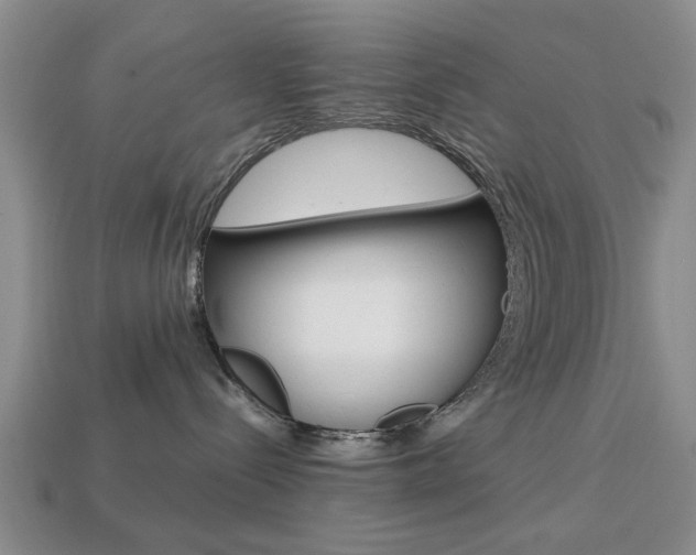X0000113780288200909231048