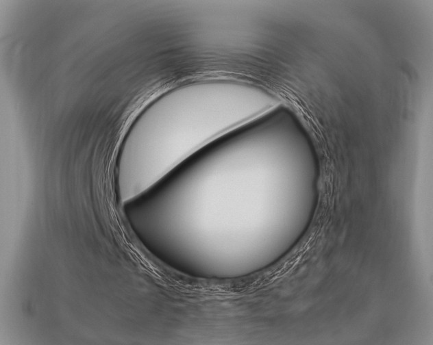 X0000113780289200909231047