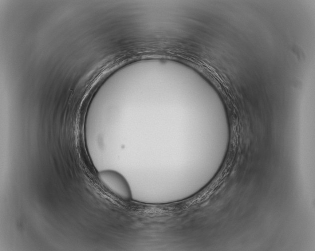 X0000113780290200909231047