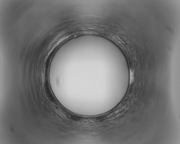X0000113780291200909231047