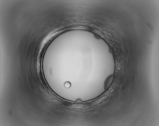 X0000113780294200909231047