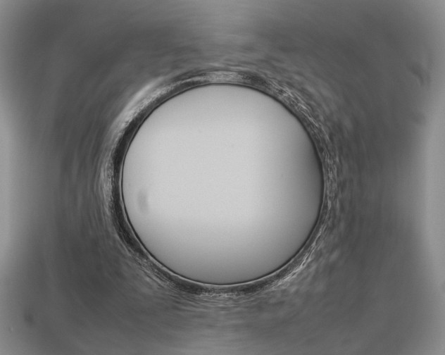 X0000113780295200909231047