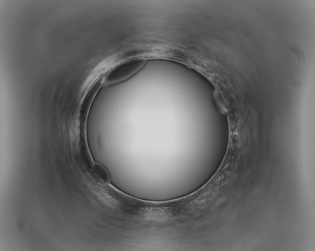 X0000113780296200909231047