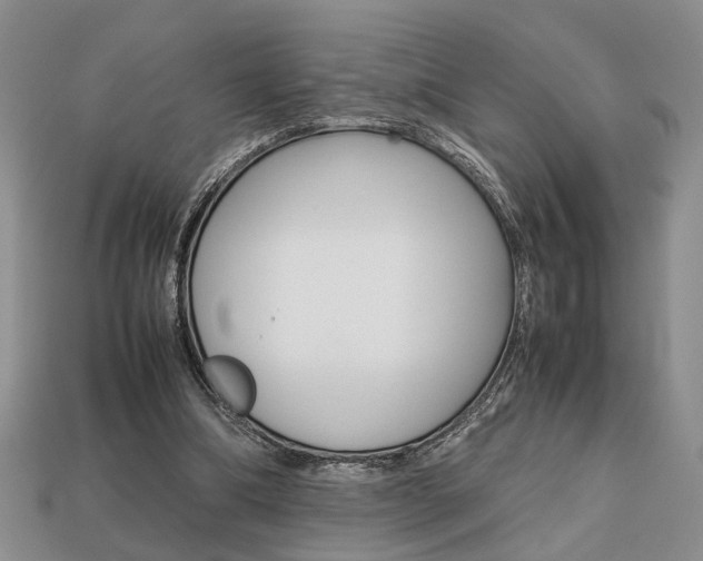 X0000113780298200909231046