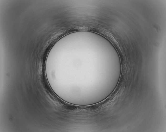 X0000113780299200909231046
