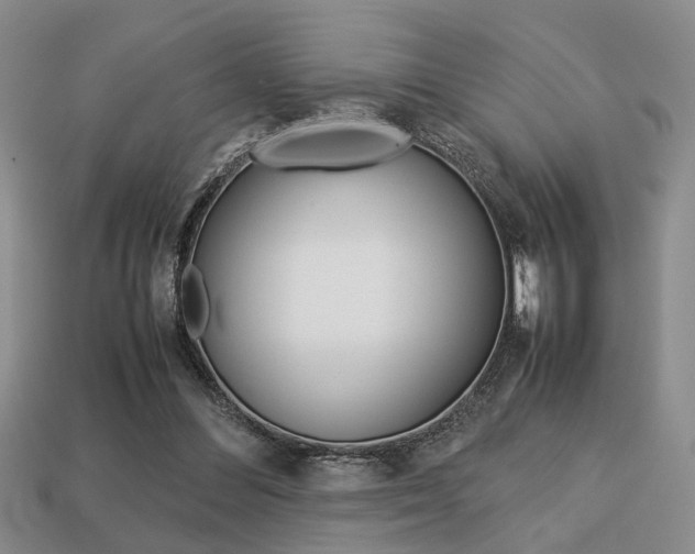 X0000113780300200909231046