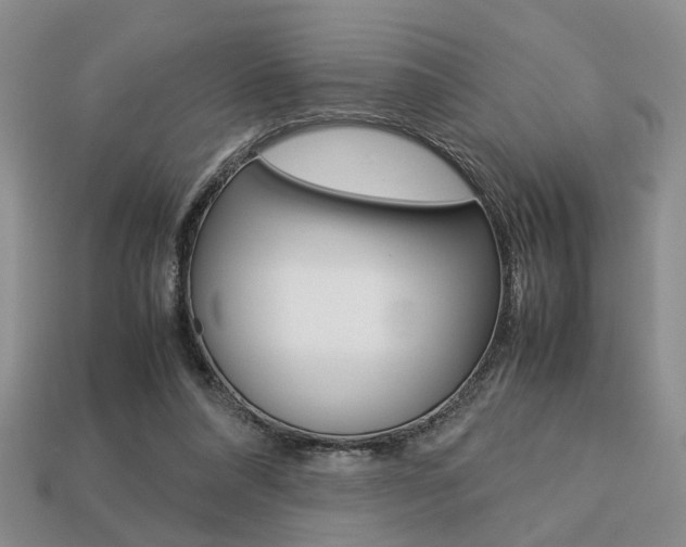 X0000113780304200909231046