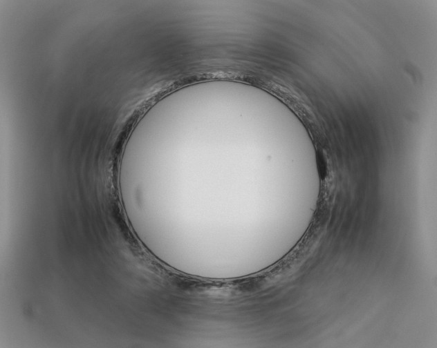 X0000113780306200909231046