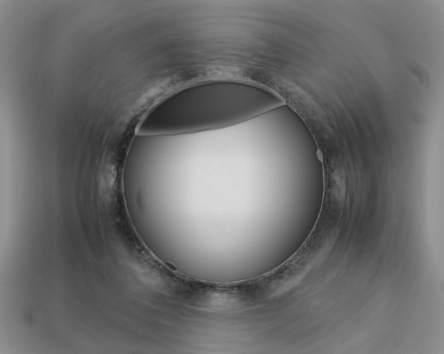 X0000113780308200909231046