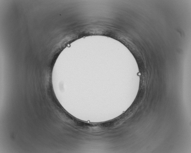 X0000113780309200909231046