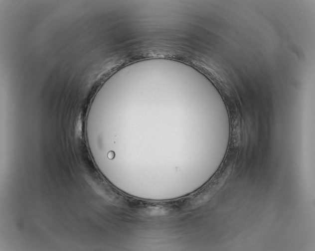 X0000113780310200909231046