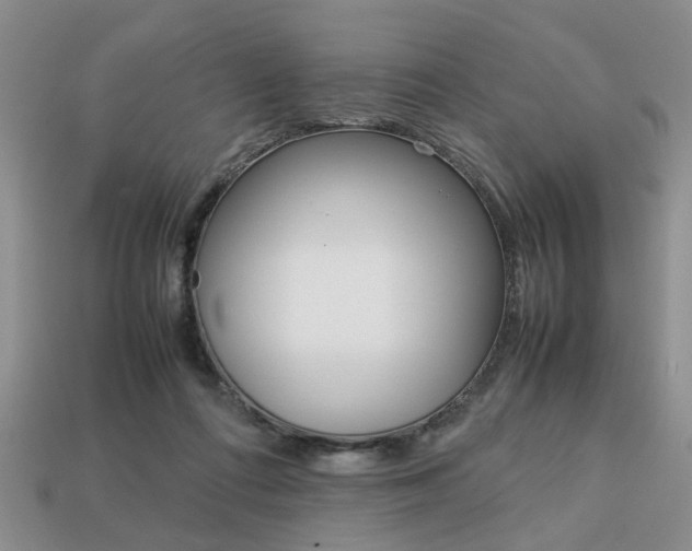 X0000113780312200909231046