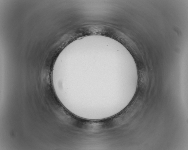 X0000113780313200909231046