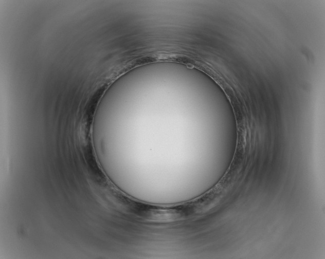 X0000113780316200909231046