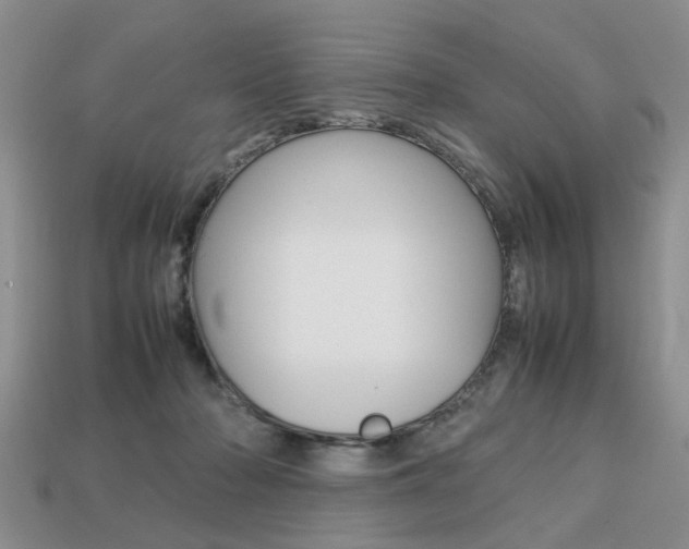 X0000113780318200909231046