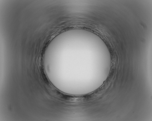 X0000113780323200909231046