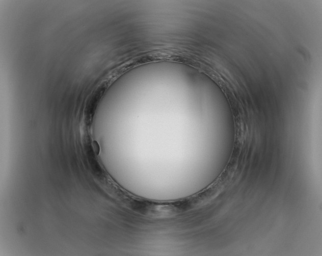 X0000113780324200909231046