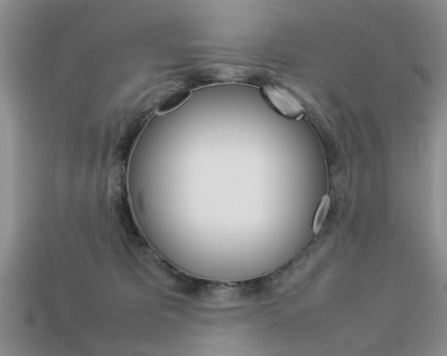 X0000113780325200909231046