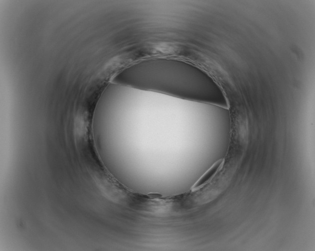 X0000113780328200909231046