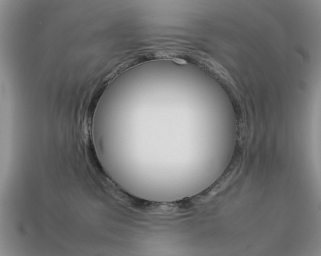 X0000113780329200909231046