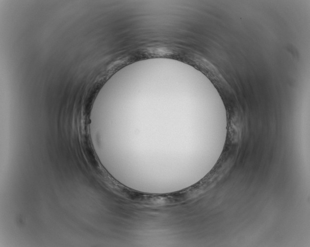 X0000113780330200909231046