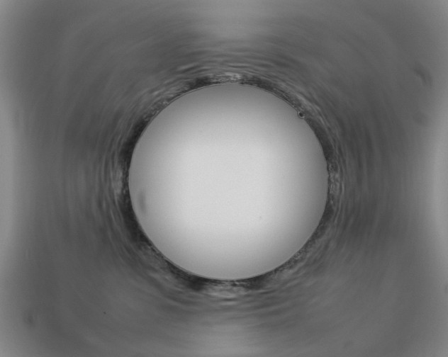 X0000113780331200909231046