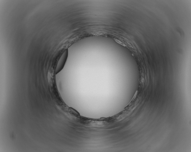 X0000113780332200909231046