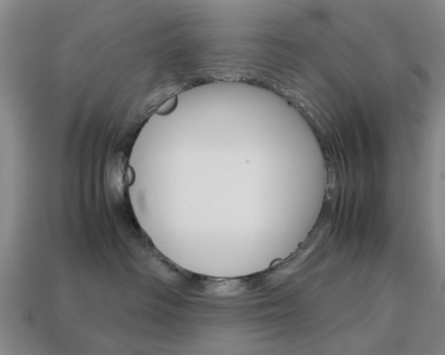 X0000113780334200909231046