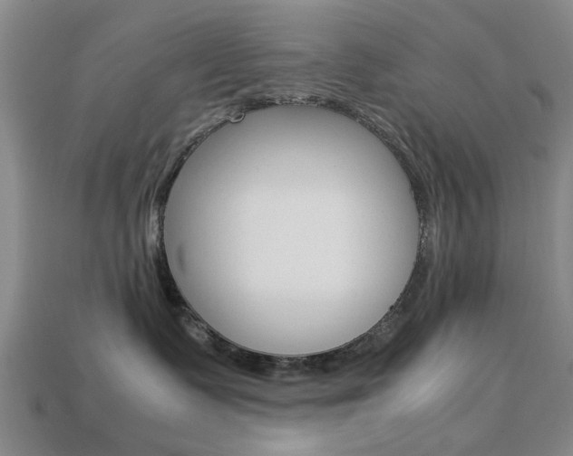 X0000113780335200909231046