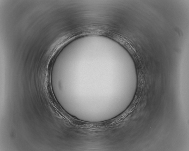 X0000113780338200909231045