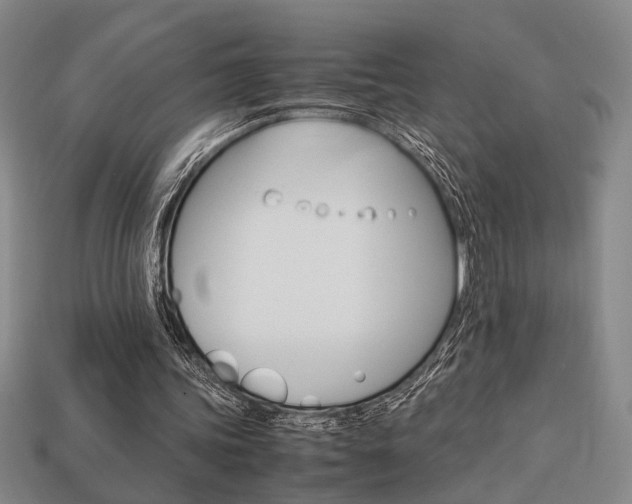 X0000113780339200909231045