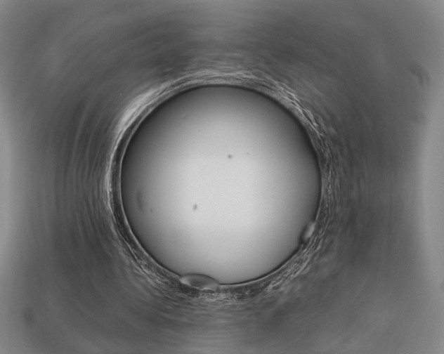 X0000113780340200909231045