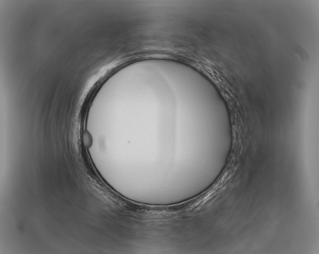X0000113780342200909231045