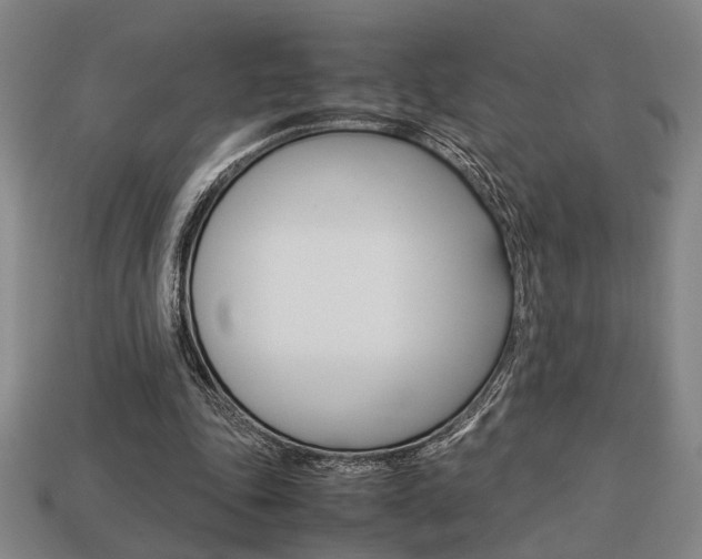 X0000113780343200909231045