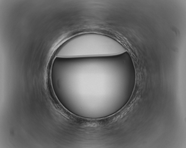 X0000113780344200909231045