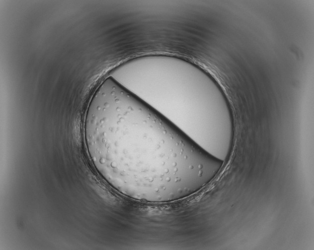 X0000113780345200909231045