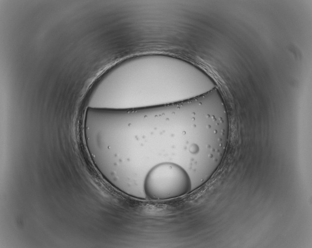 X0000113780346200909231045