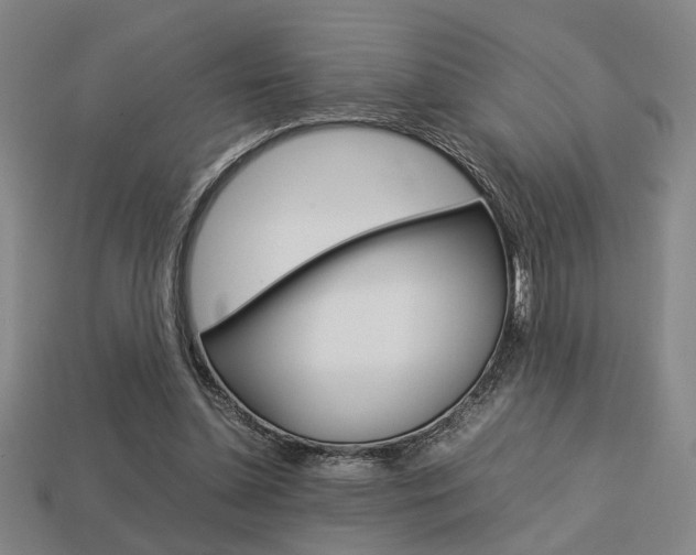 X0000113780348200909231046