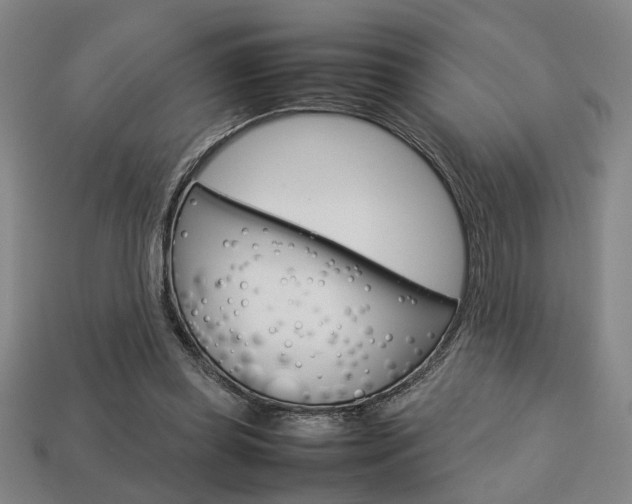 X0000113780349200909231046
