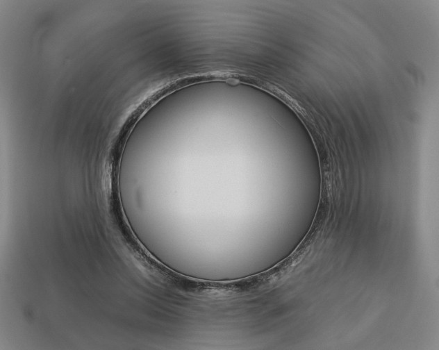 X0000113780350200909231046
