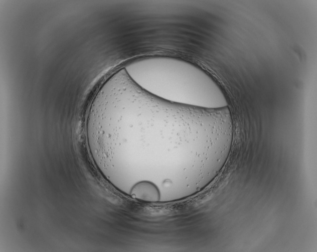 X0000113780351200909231046